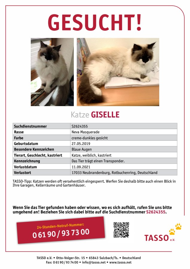 Vermisst: Katze GISELLE in Neubrandenburg!