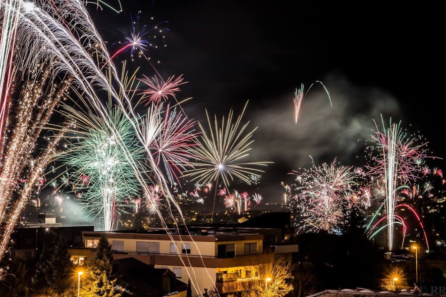 Der panische Hund an Silvester - Alprazolam, Dexmedetomidin, Imepitoin, Alkohol?