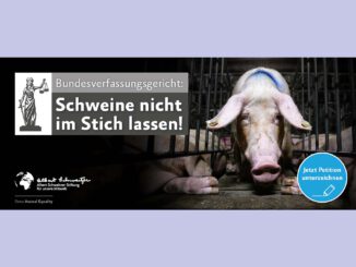 Appell für tierschutzgerechte Schweinehaltung!