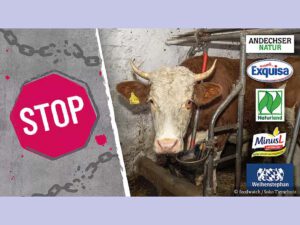 Petition (E-mail-Aktion) "Keine Qual-Milch in Exquisa, Weihenstephan & Co!"
