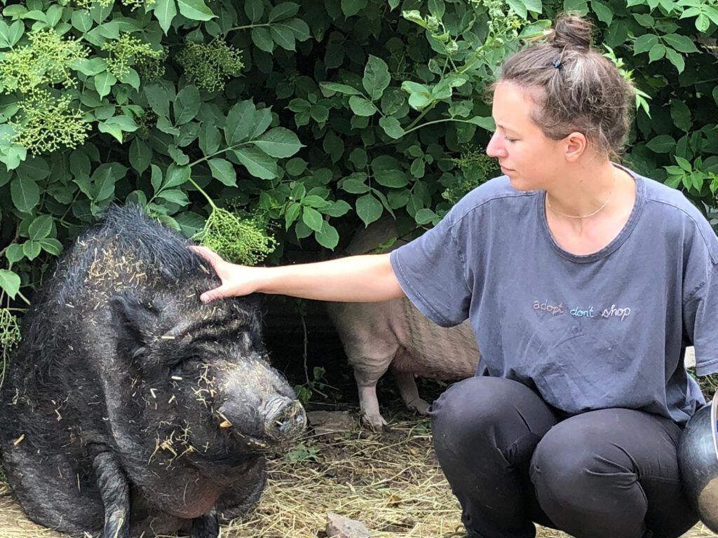 "Harte Hunde - Helden für Tiere" vom 19.-24.6.24 in unserem Tierheim - Unser Drehtagebuch!