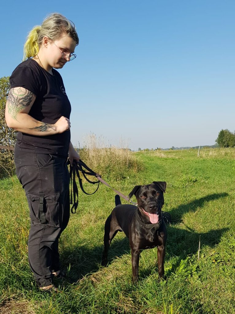 Heideterrier Lucky möchte ankommen!