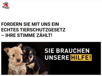 E-Mail-Protestaktion von Vier Pfoten für ein besseres Tierschutzgesetz