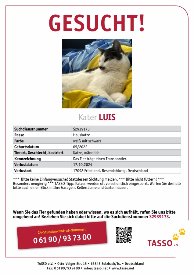 Kater Luis vermisst 17098 Friedland