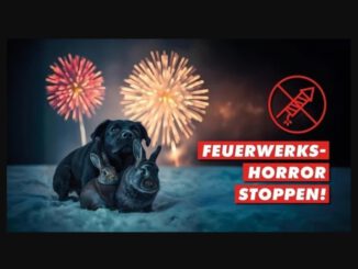 Petition für Feuerwerksverbot!