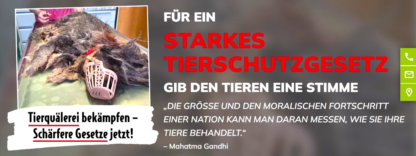 Petition für ein starkes Tierschutzgesetz