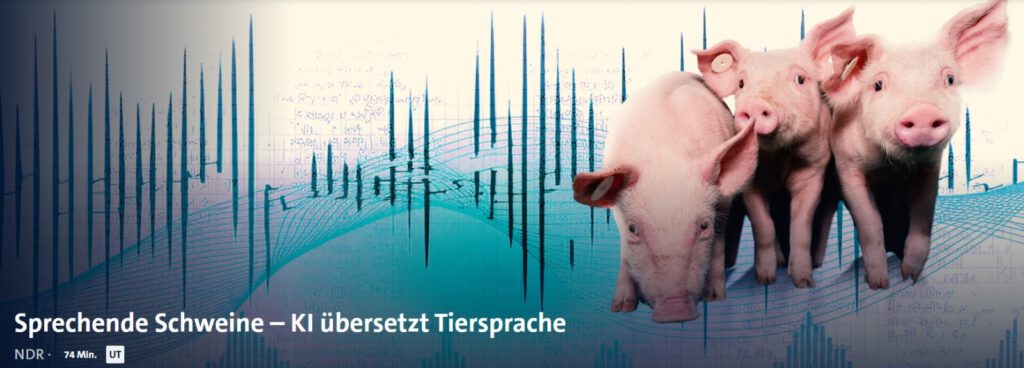 Filmtipp: Sprechende Schweine - KI übersetzt Tiersprache