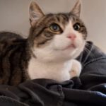 Gucci sucht Paten und Einzelplatz!