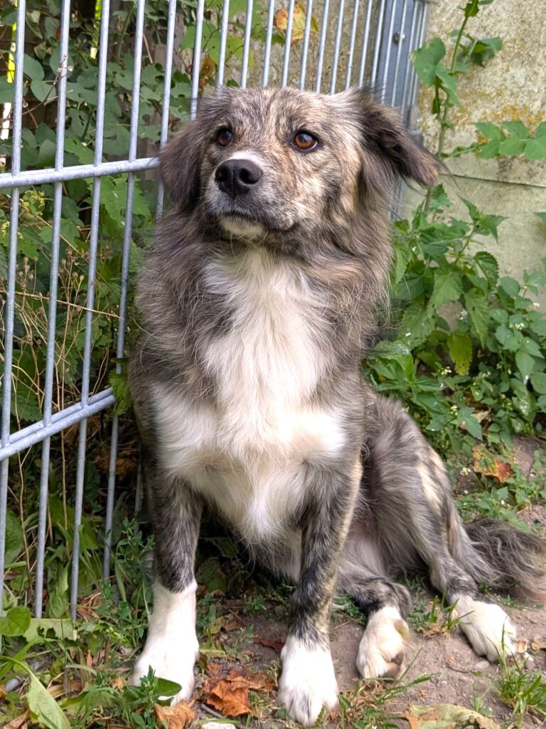 Susa