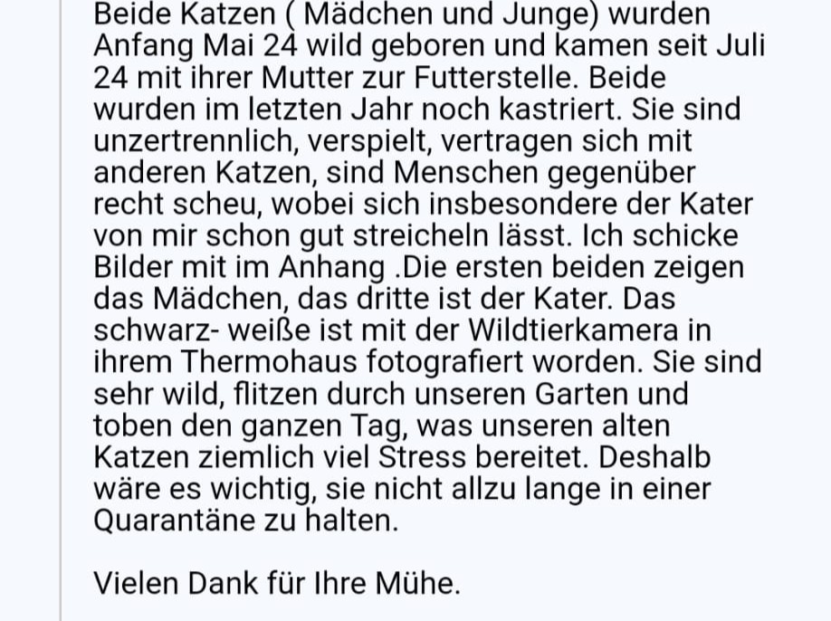 Geschwisterpärchen sucht zusammen Zuhause mit Freigang