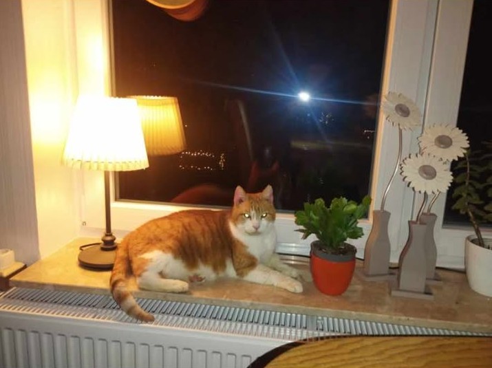 Berry (nun Kalle)