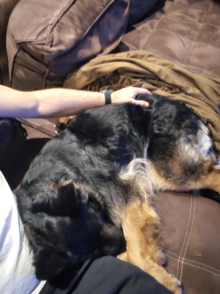 Kuschelbilder von Cora