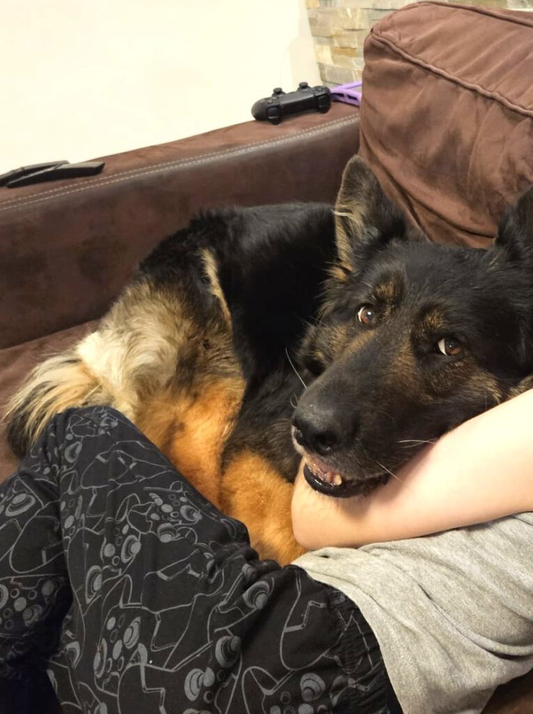Kuschelbilder von Cora