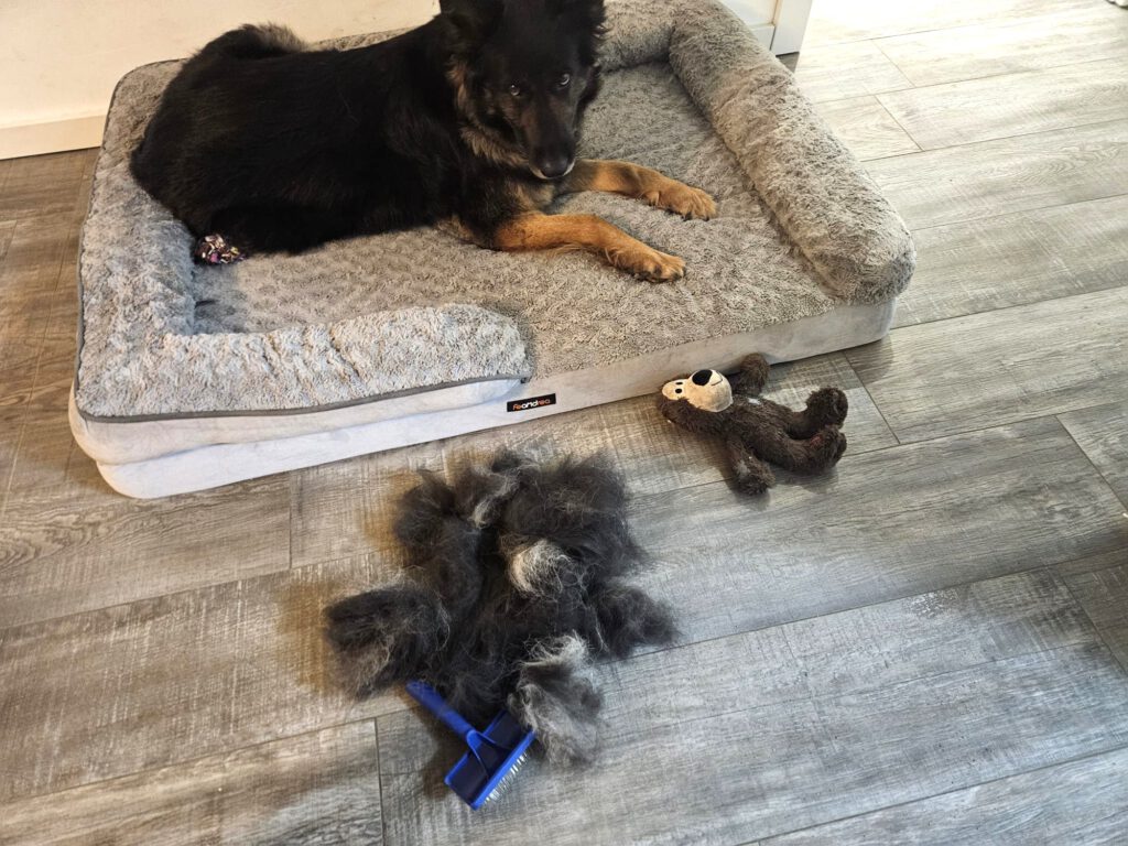 Kuschelbilder von Cora