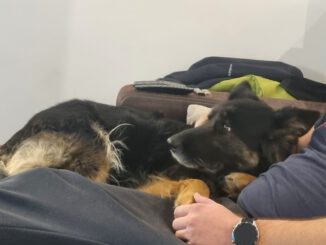 Kuschelbilder von Cora