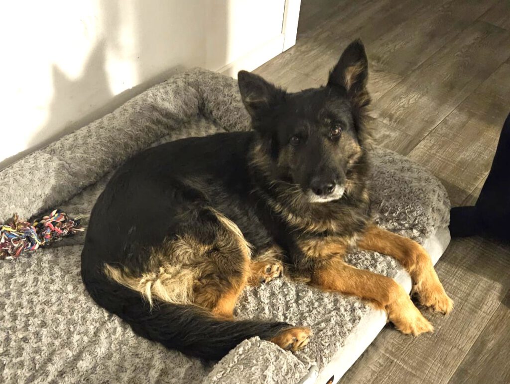 Kuschelbilder von Cora