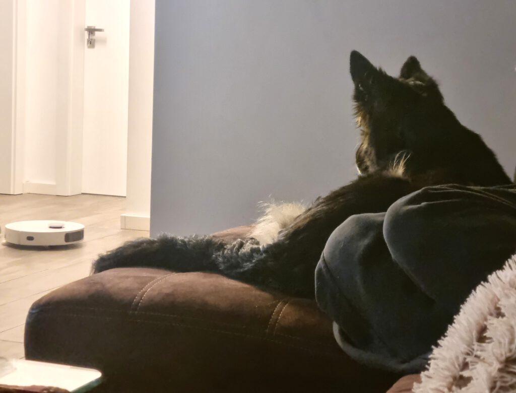 Kuschelbilder von Cora