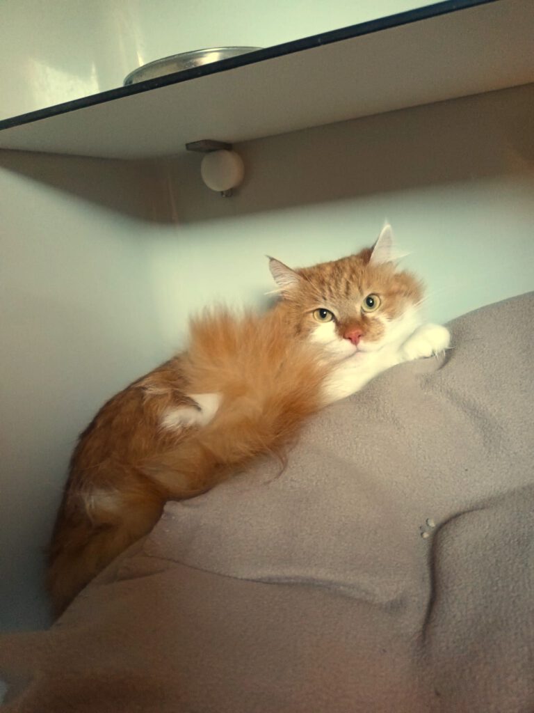 Leroy