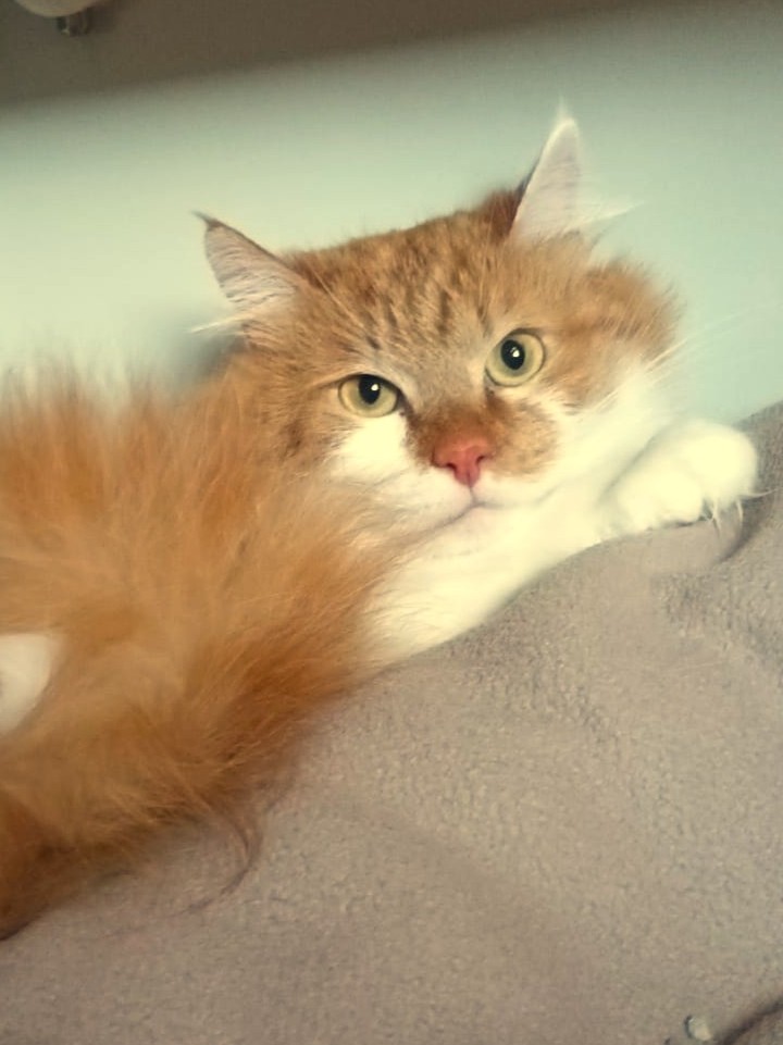 Leroy