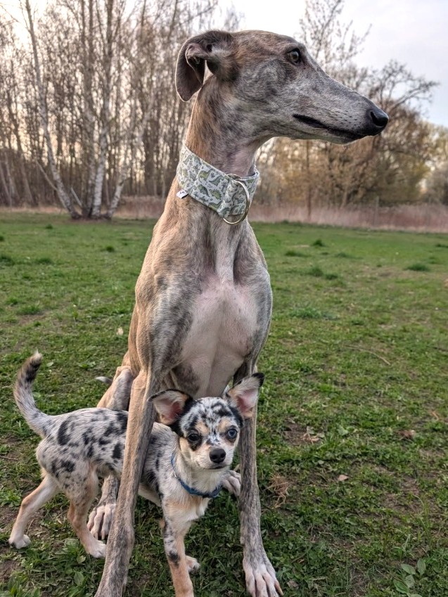 Kleiner "Sage" hat großes Los gezogen :)