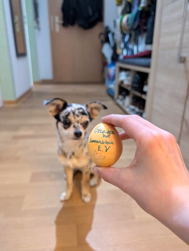 Kleiner "Sage" hat großes Los gezogen :)