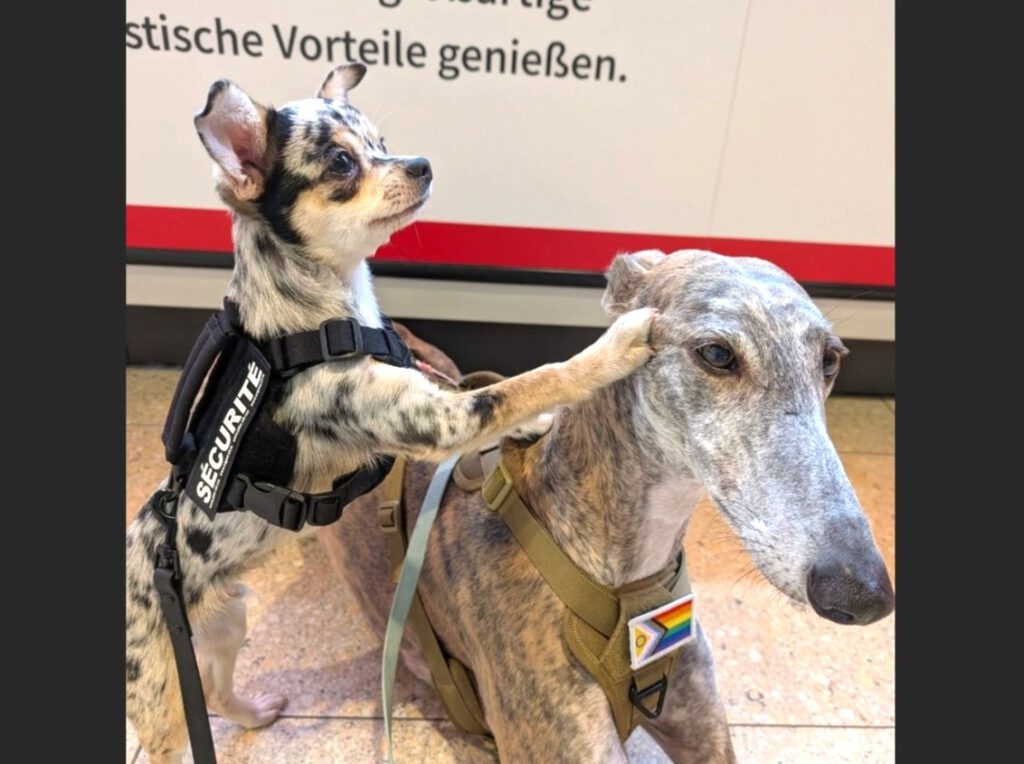 Kleiner "Sage" hat großes Los gezogen :)