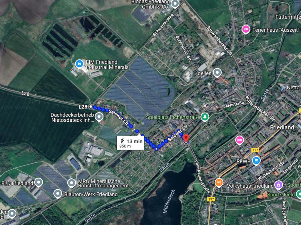 Schwäne zum Wasser geleiten