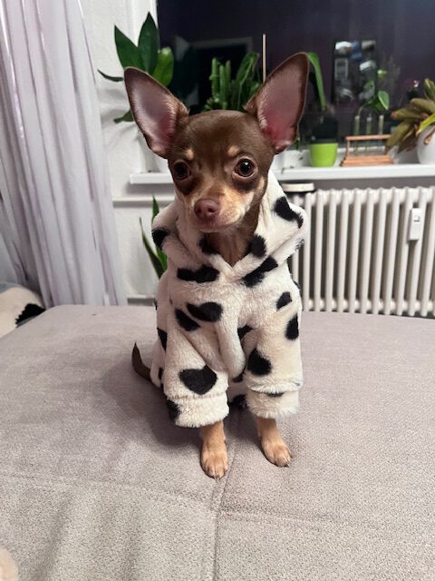 Ostergrüße von Sydney (-> Mascha)