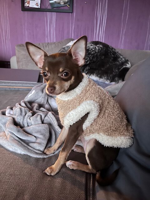 Ostergrüße von Sydney (-> Mascha)