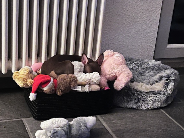 Ostergrüße von Sydney (-> Mascha)