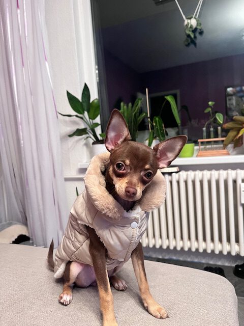 Ostergrüße von Sydney (-> Mascha)