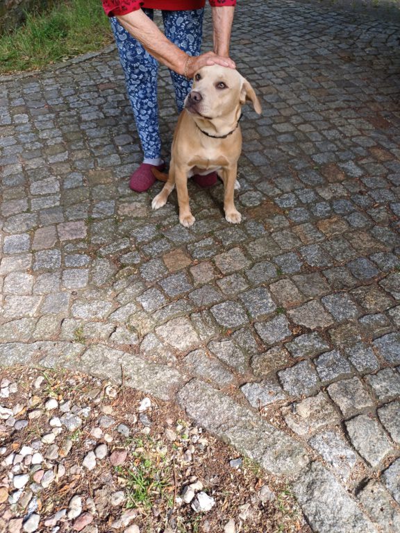 Arwa sucht liebe Familie