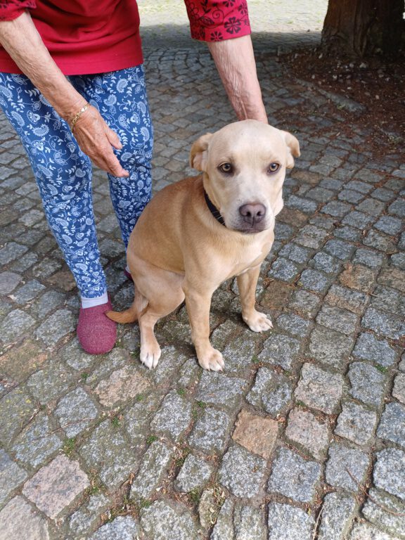 Arwa sucht liebe Familie