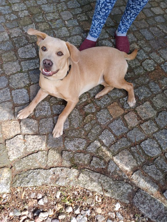 Arwa sucht liebe Familie