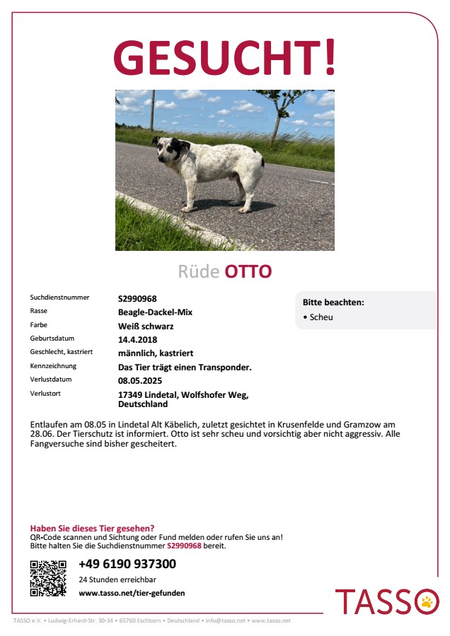 Otto in 17349 Lindetal vermisst!