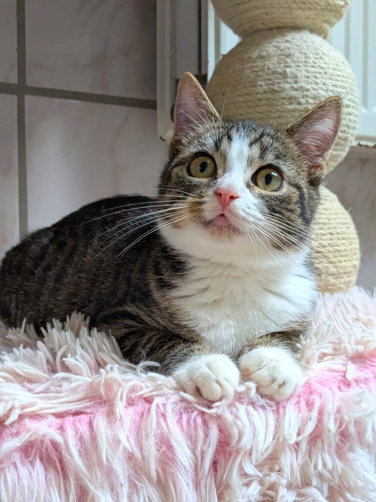 Malte, Matti & Mellow