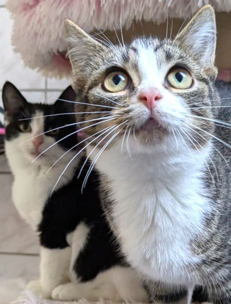 Malte, Matti & Mellow