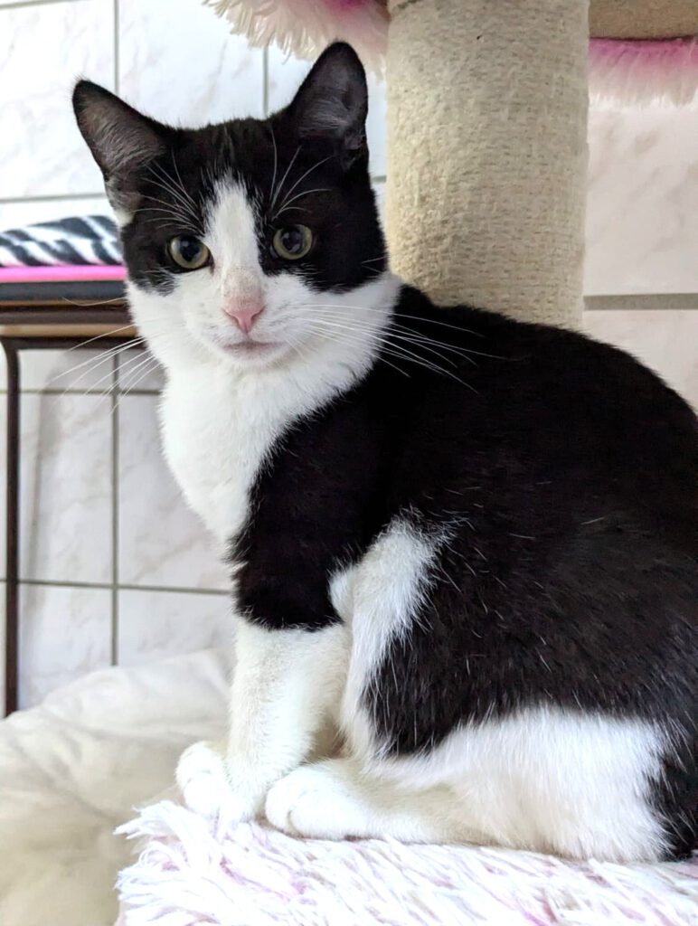 Malte, Matti & Mellow