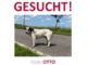 Otto in 17349 Lindetal vermisst!