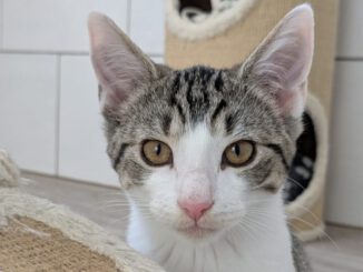 Wanda (Winnie auf PROBE)