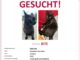 Kater BITE vermisst in 17237!