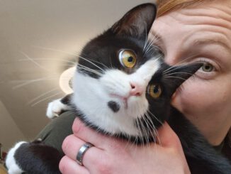 Katniss - RESERVIERT