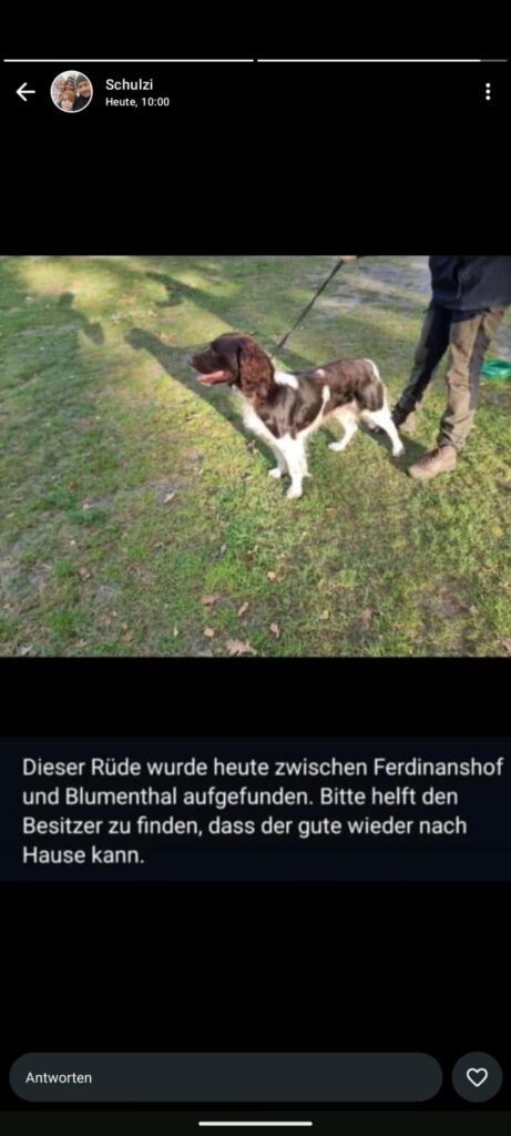Fundrüde zw. 17379 Ferdinandshof/ Blumenthal