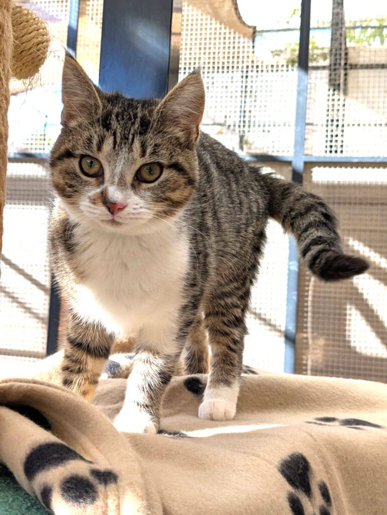 Owen & Oxana (Ophelia PROBE)