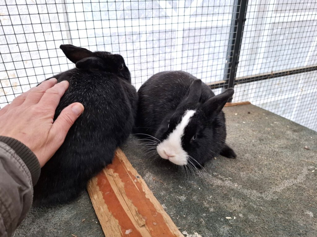 Gudrun, Marianne & Günther