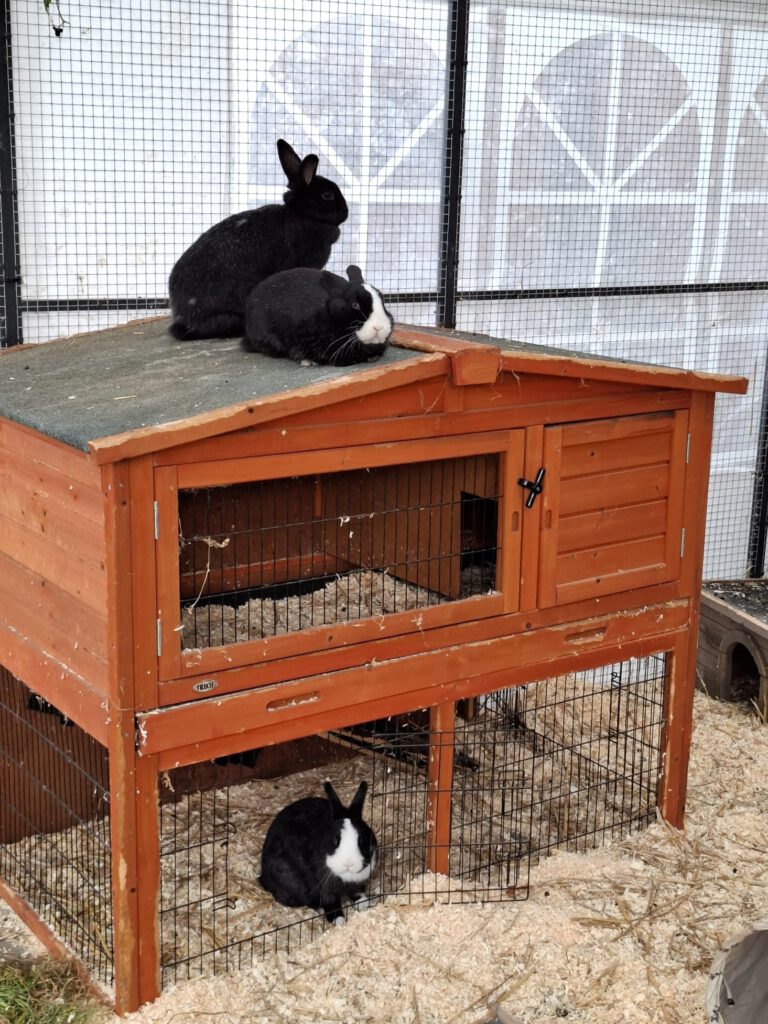 Gudrun, Marianne & Günther