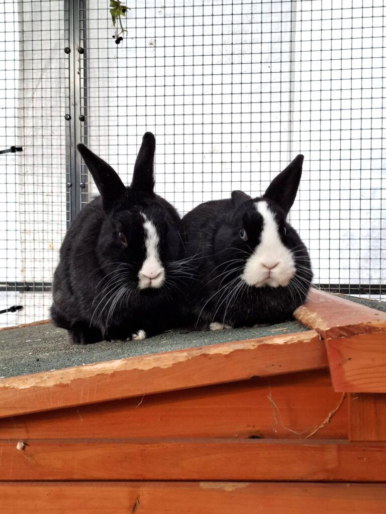 Gudrun, Marianne & Günther