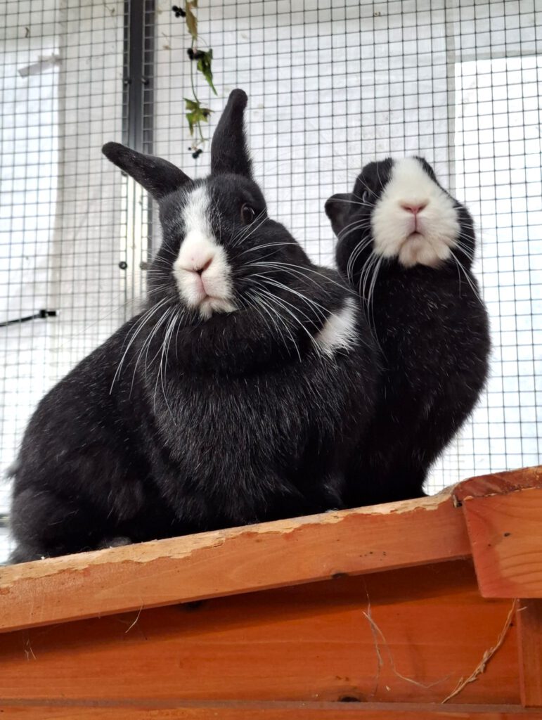 Gudrun, Marianne & Günther