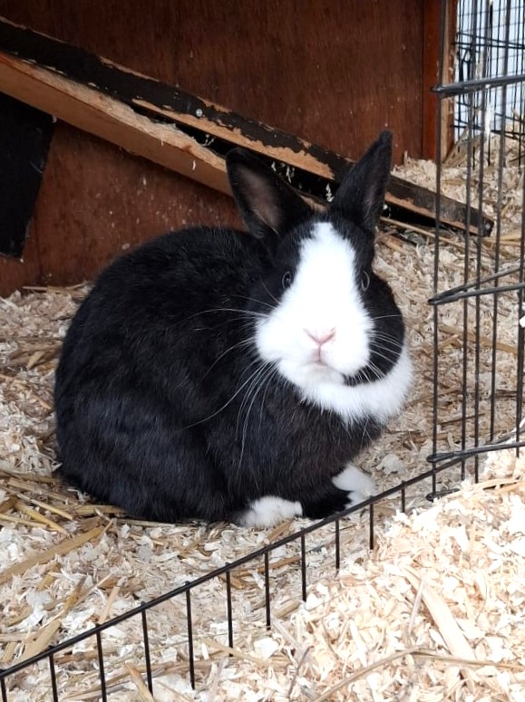 Gudrun, Marianne & Günther