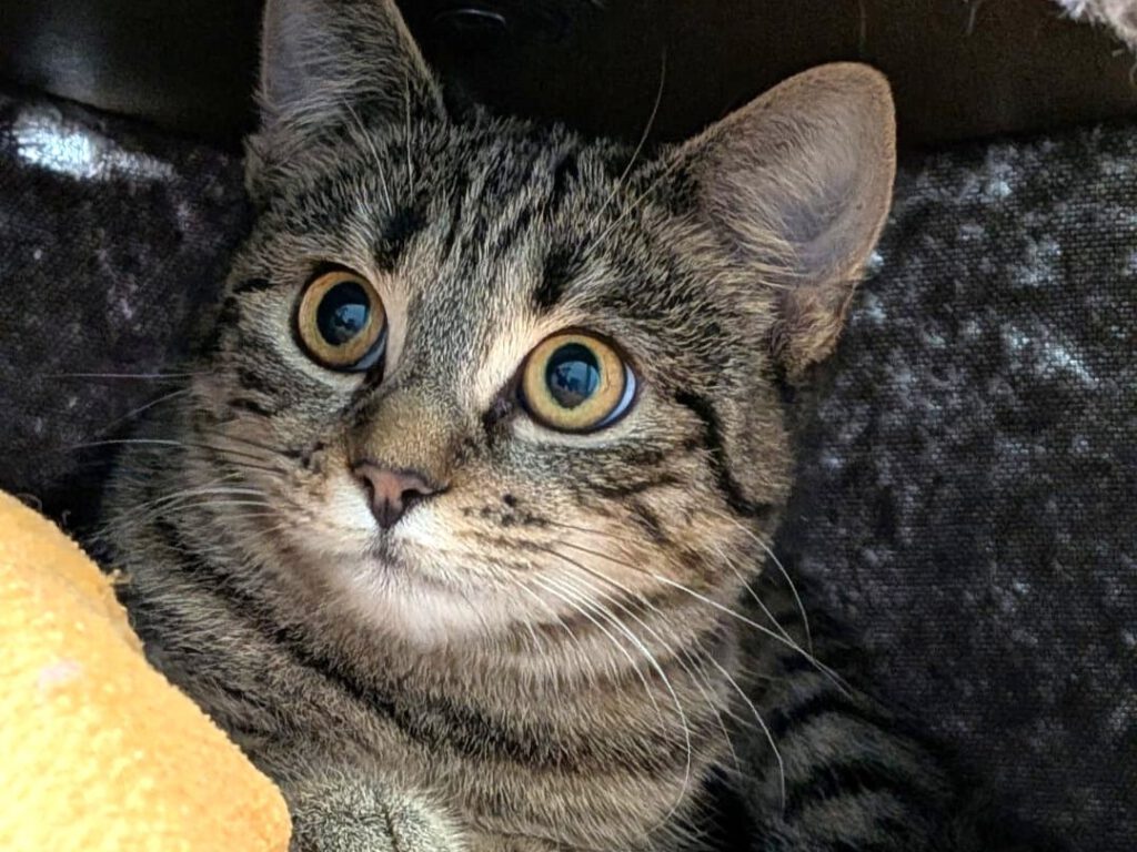 Wir brauchen noch mehr Teamer!